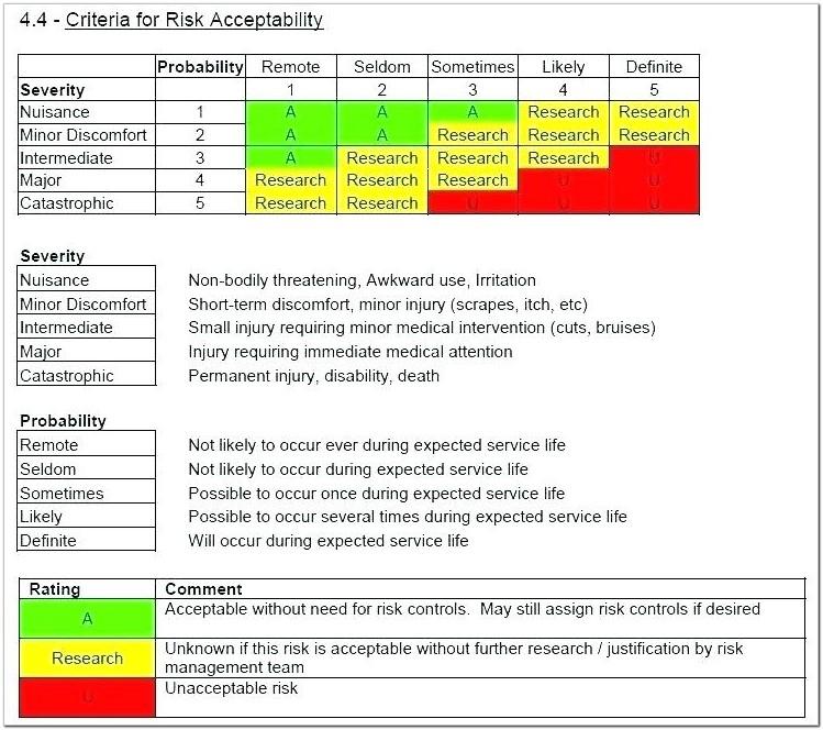 Audit Risk Analysis Report Sample