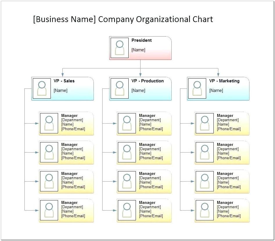Blank Organizational Chart Template Free