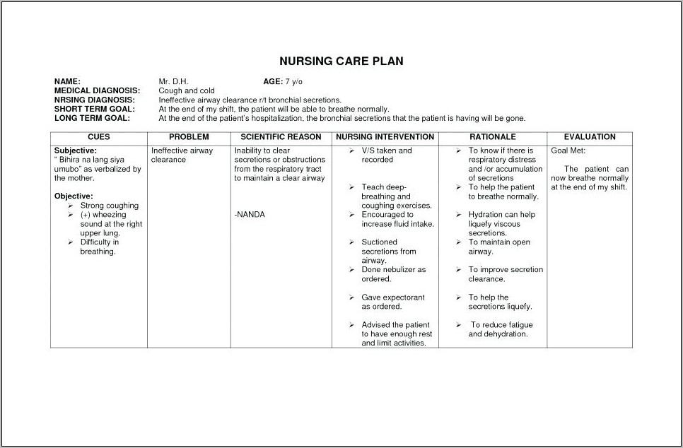 Nursing Action Plan Template Download