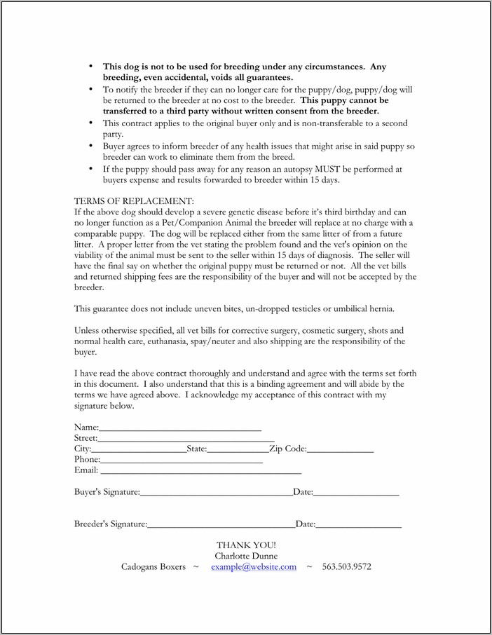 Sales Contract Sample Pdf