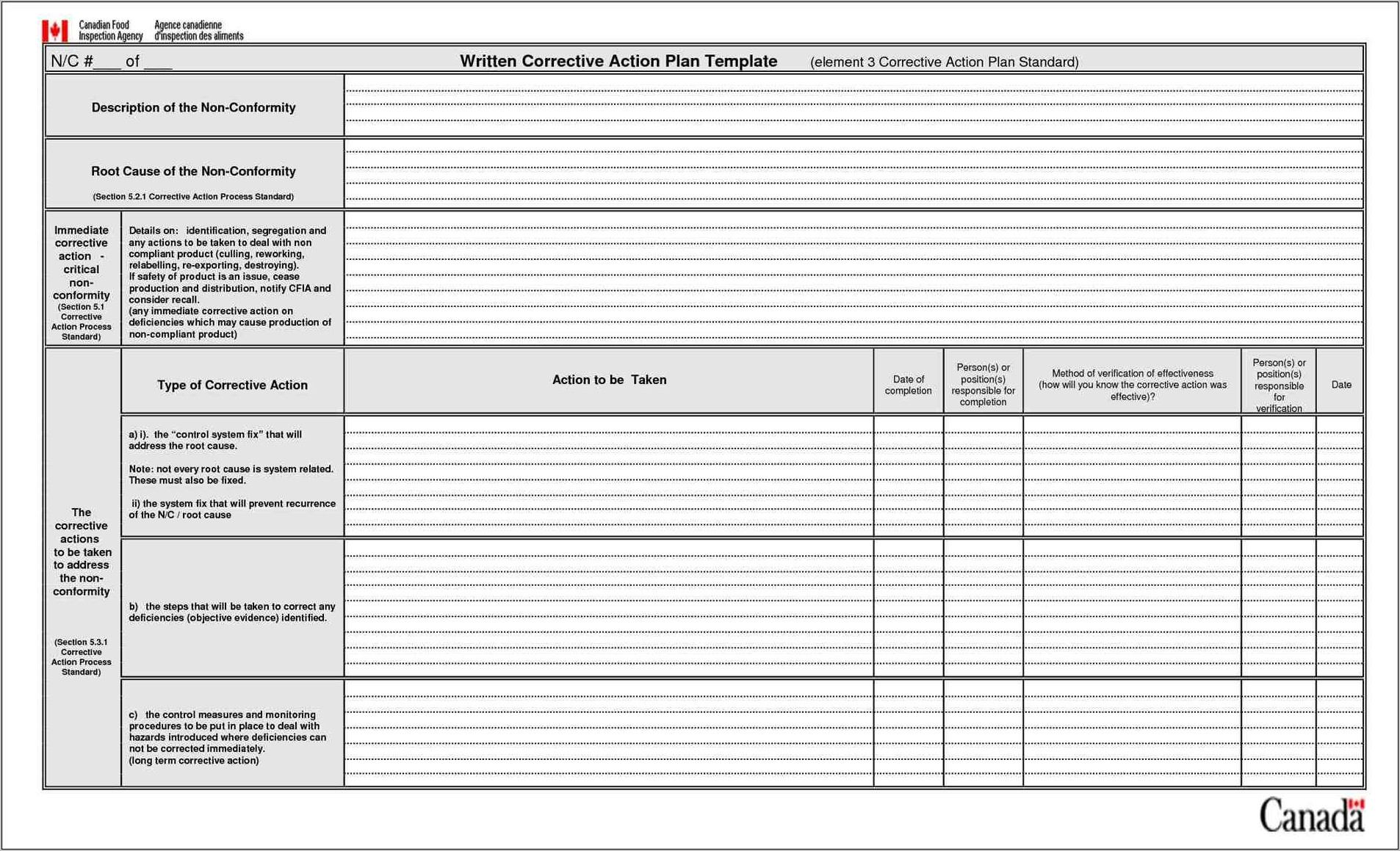 Sample Corrective Action Form Template