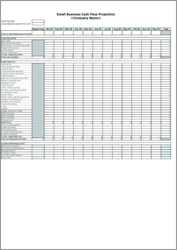 Simple 3 Year Cash Flow Projection Template