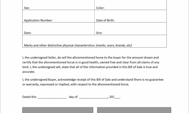 Simple Horse Boarding Agreement Template