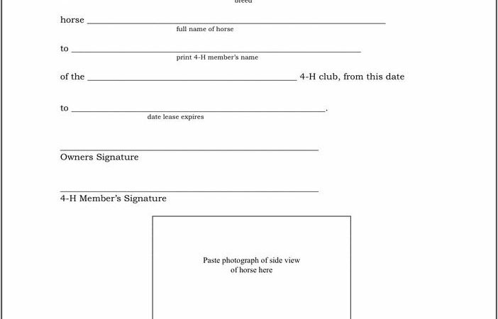 Simple Horse Lease Agreement Form