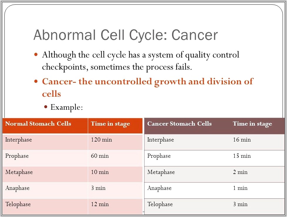 Cell Cycle Cancer Worksheet