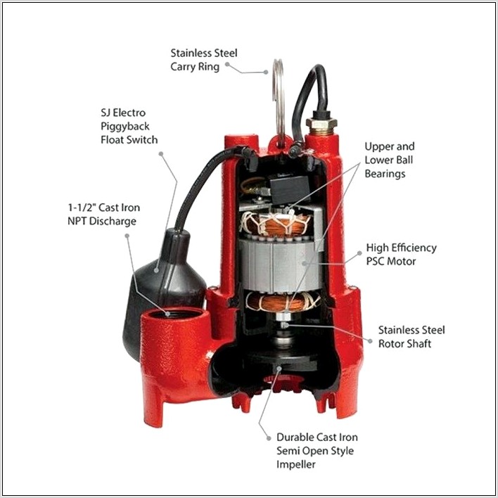 Red Lion Pump Wiring Diagram