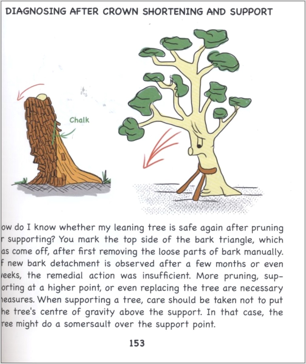 Tree Rigging Diagrams Pdf