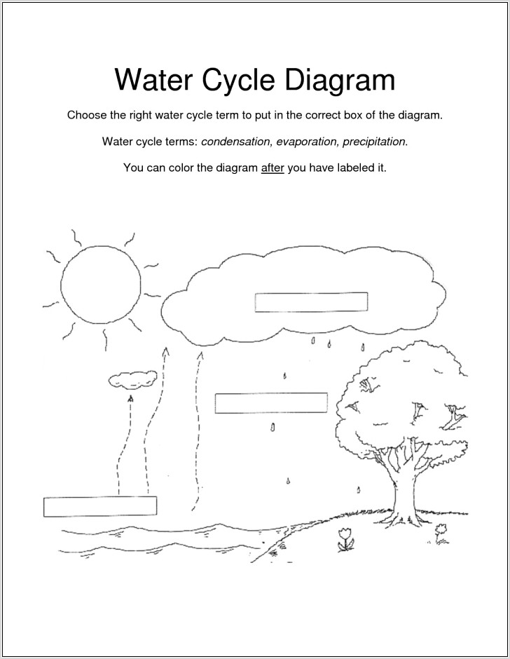 Water Cycle Cloze Worksheet
