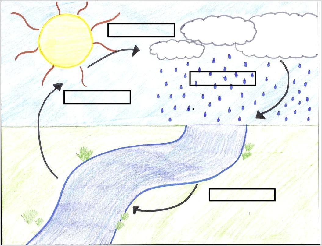 Water Cycle Diagram Worksheet Blank