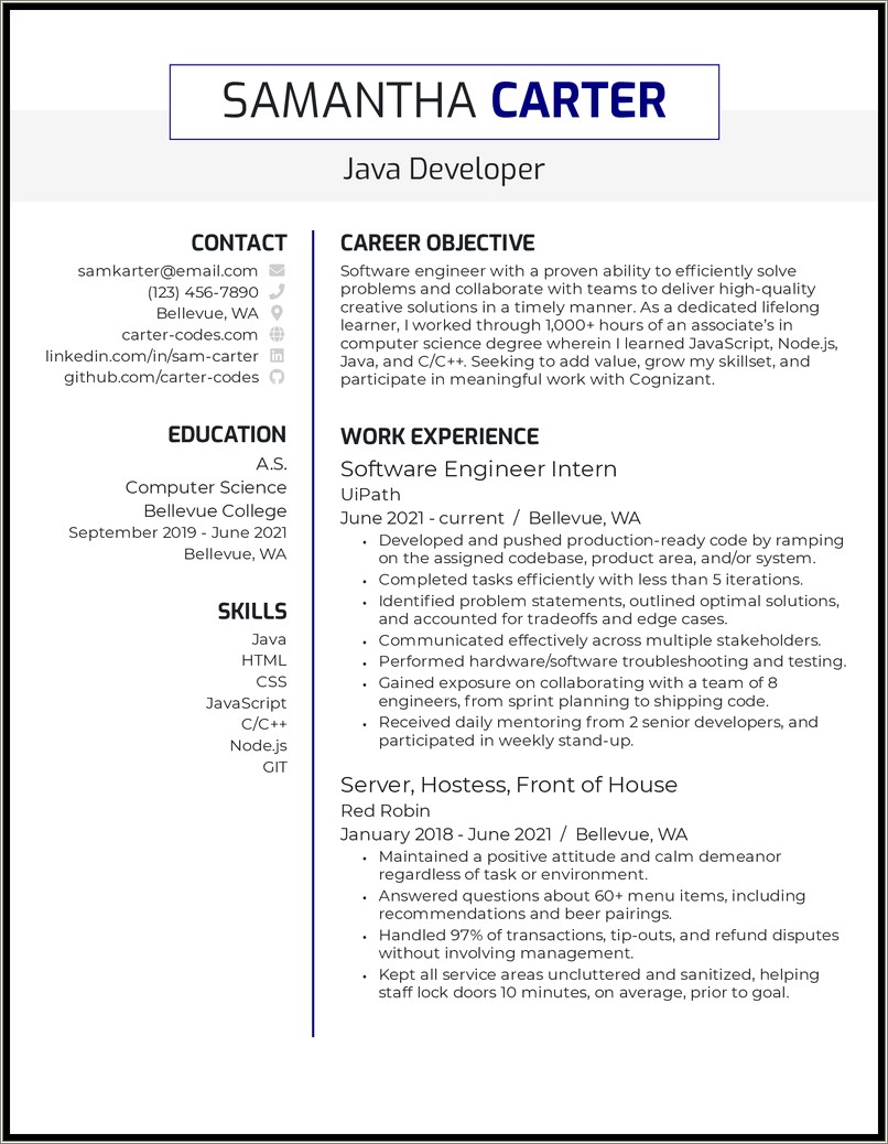 Best Resume For Java Developer Experienced