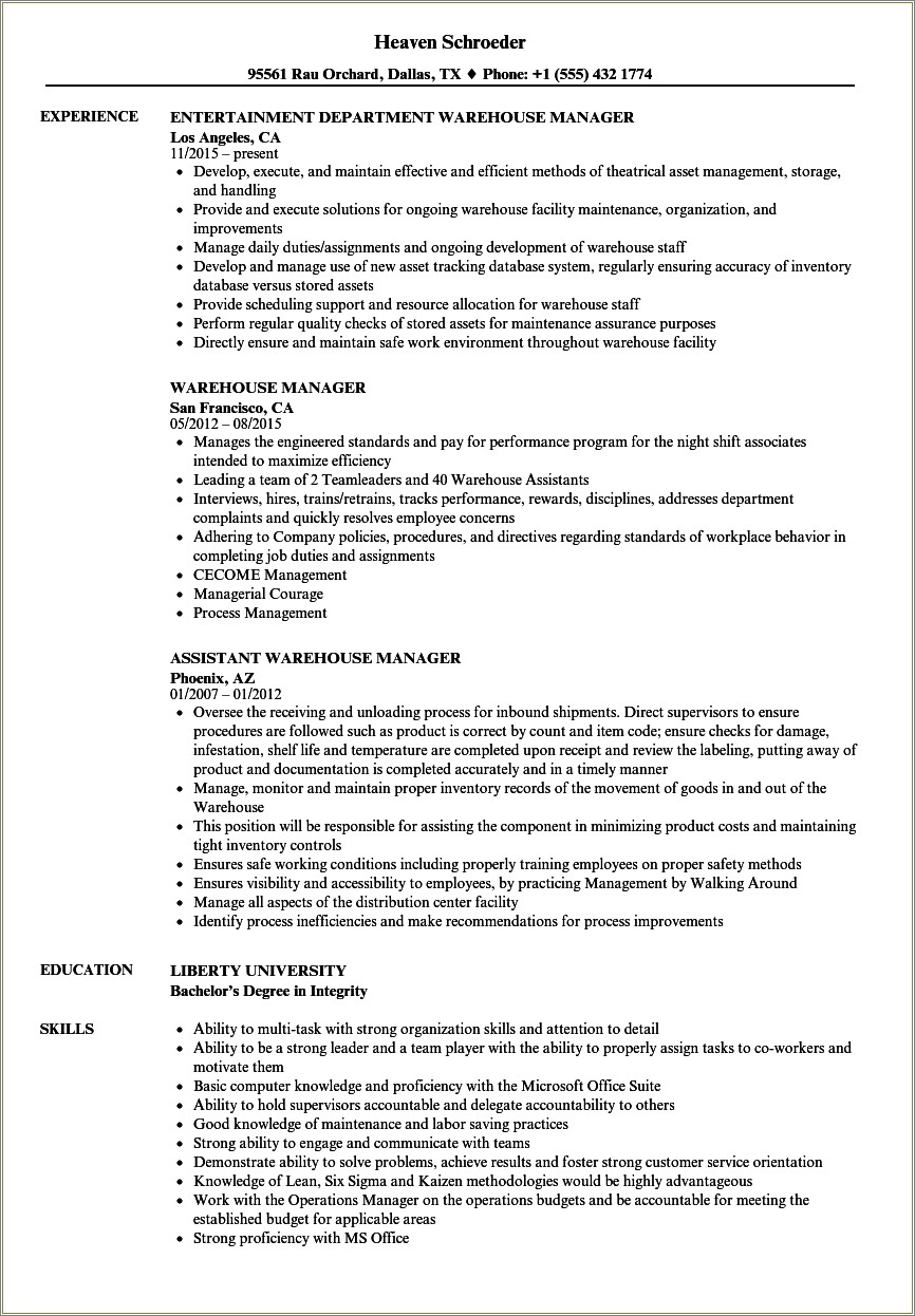 Director Of Supply Chain Resume Example