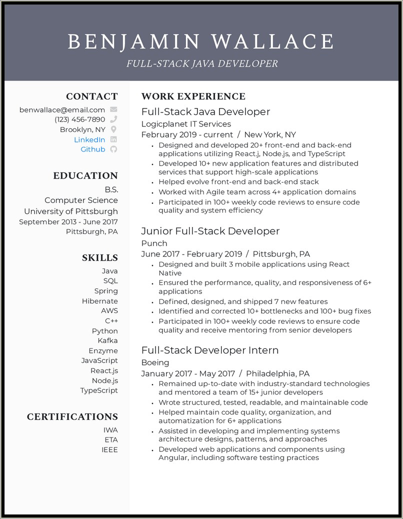 Net Developer Resume With Aws Experience