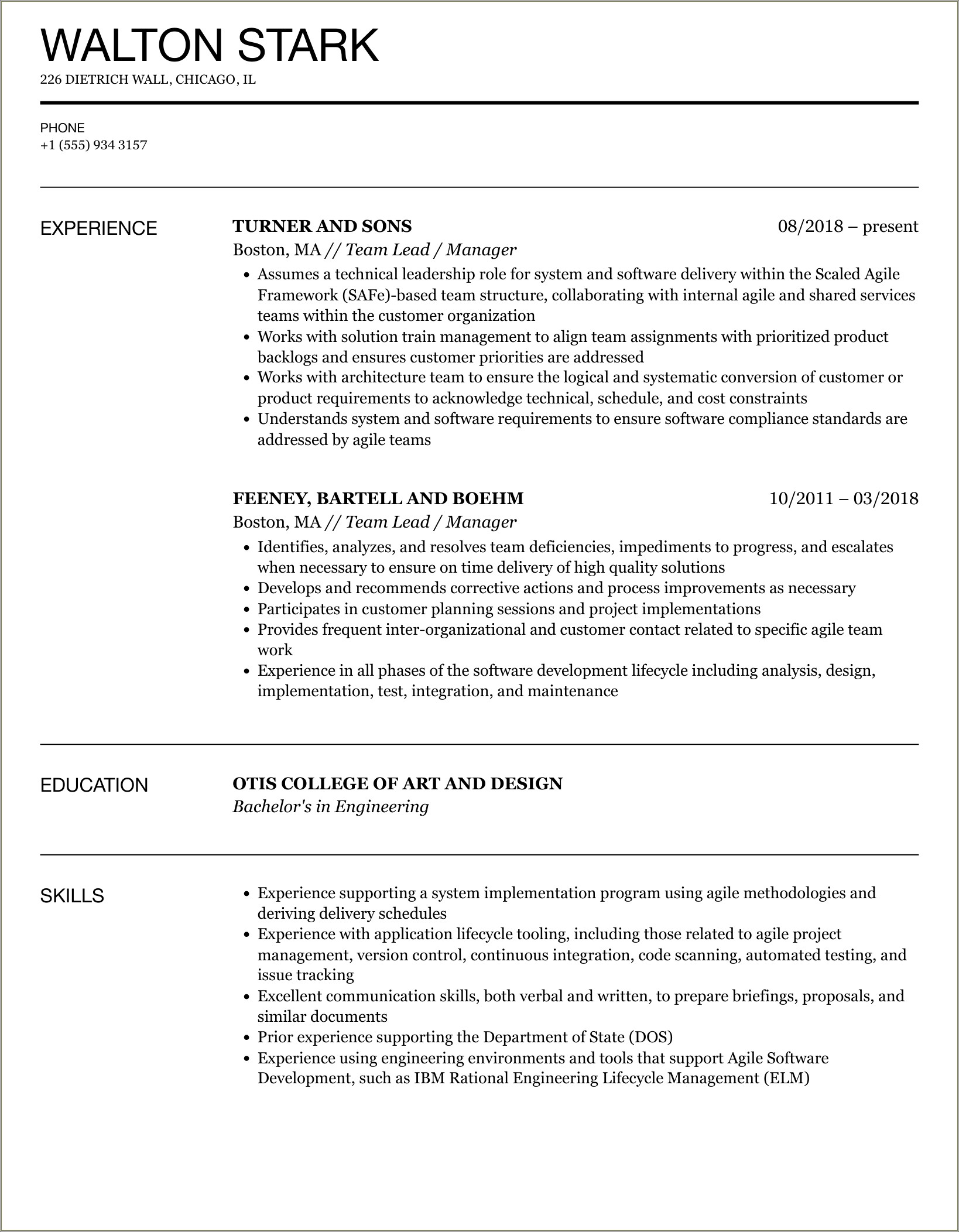 Sample People Manager And Team Leader Resume