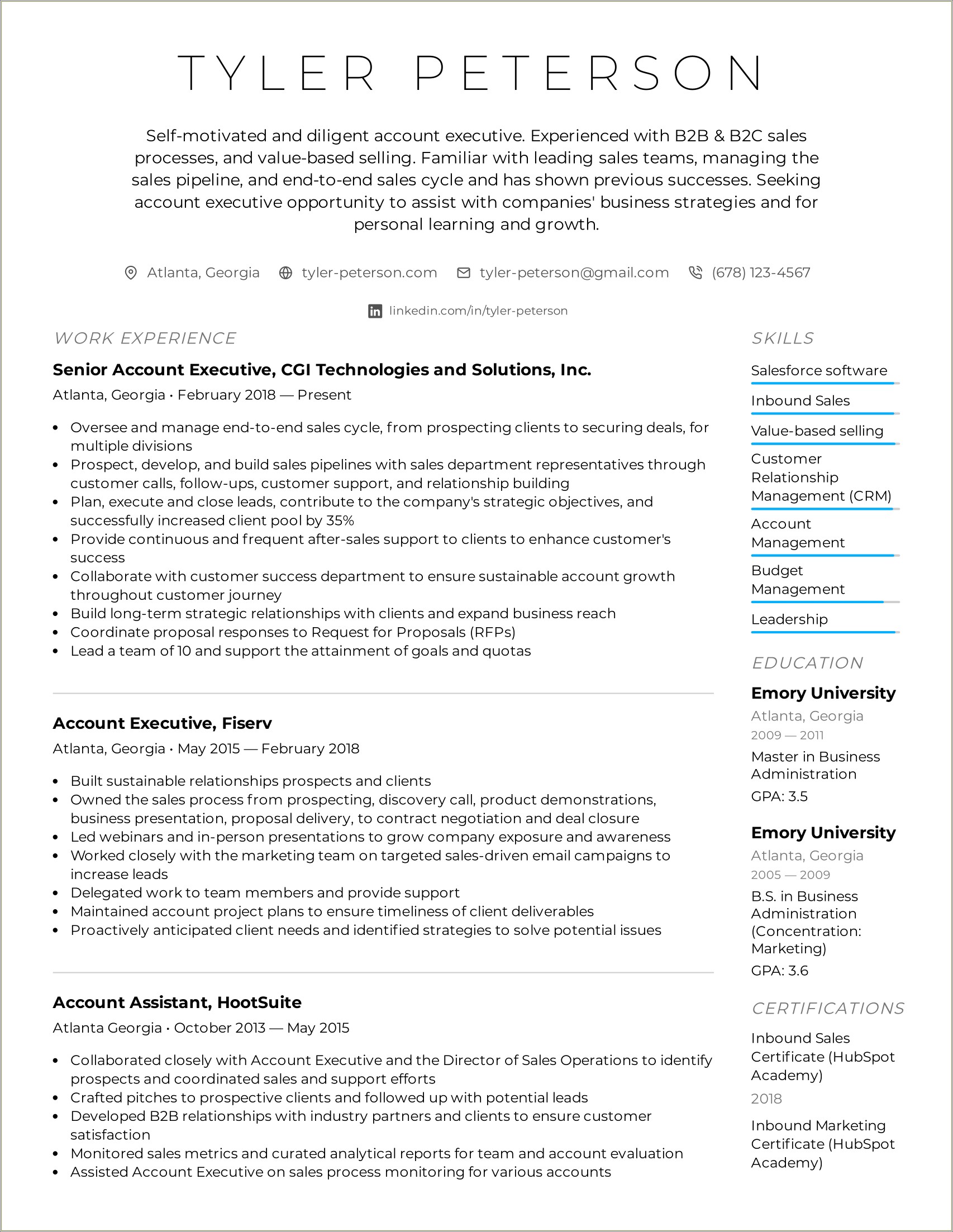 Sample Resume For An Sales Account Executive