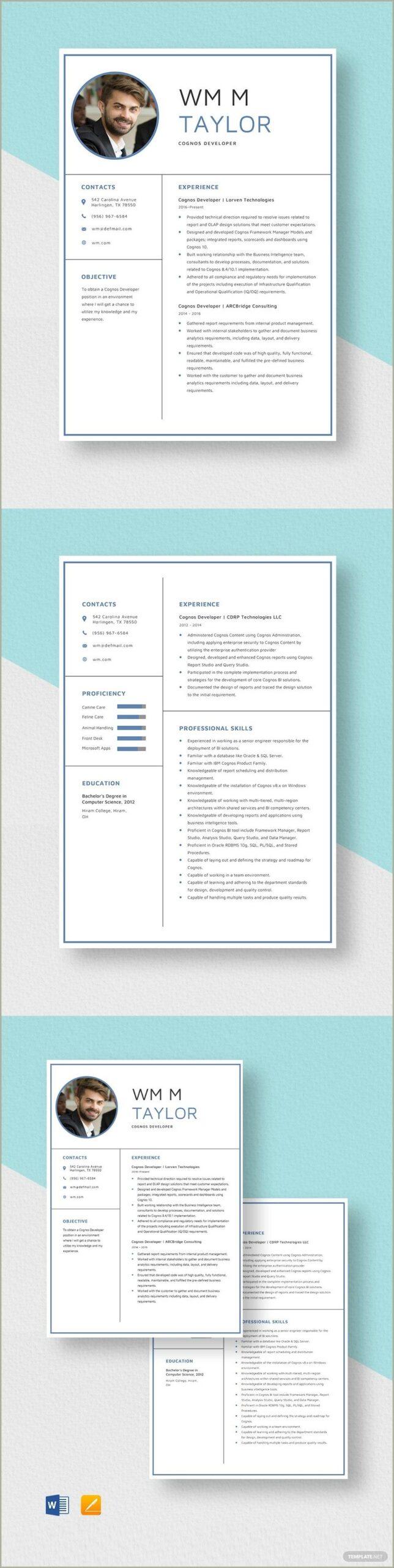 Sample Resume For Experienced Cognos Report Developer