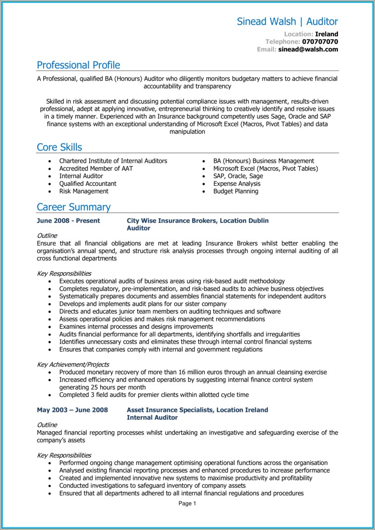 Sample Resume For Internal Audit Position
