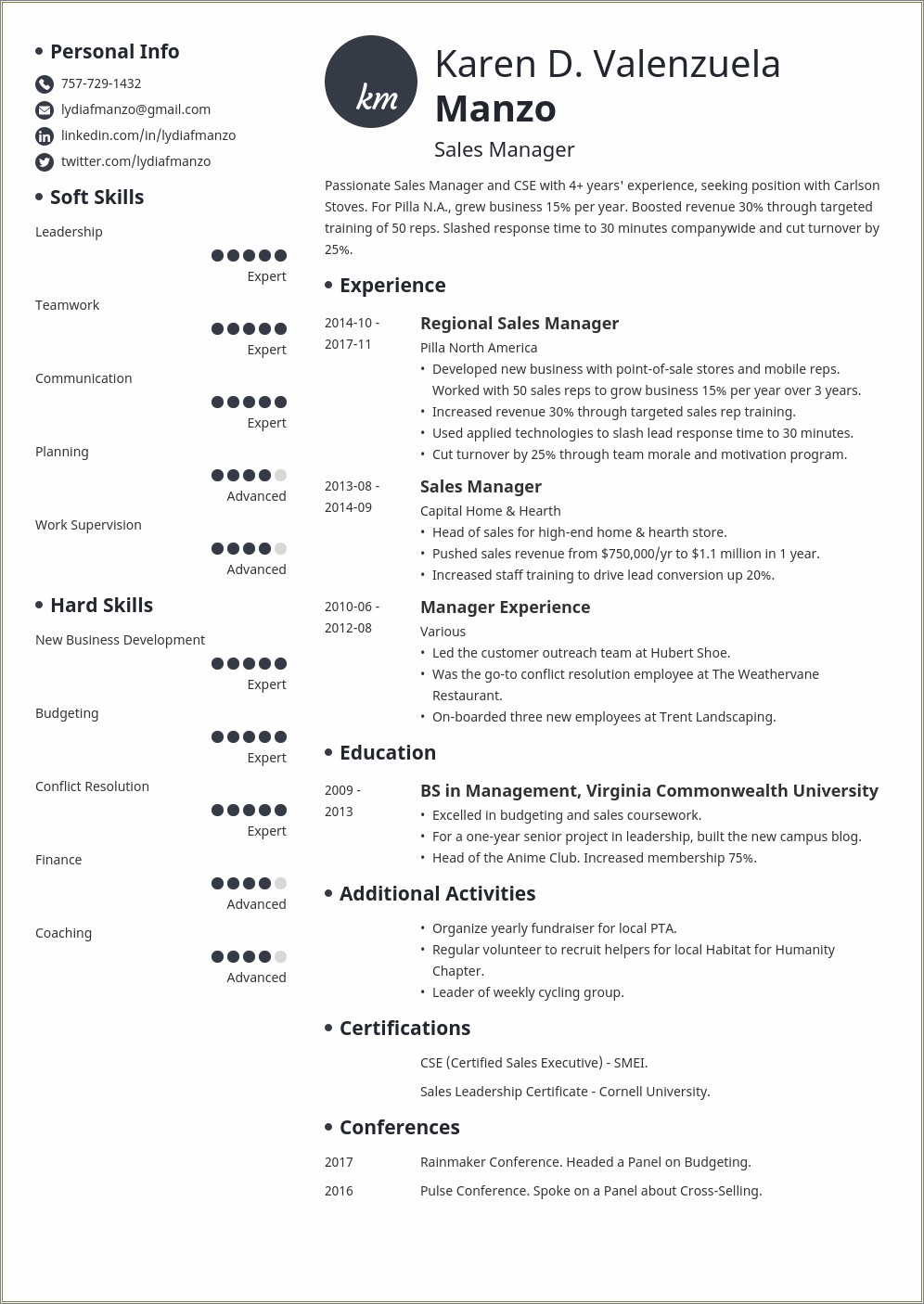 Sample Resume For It Director Position