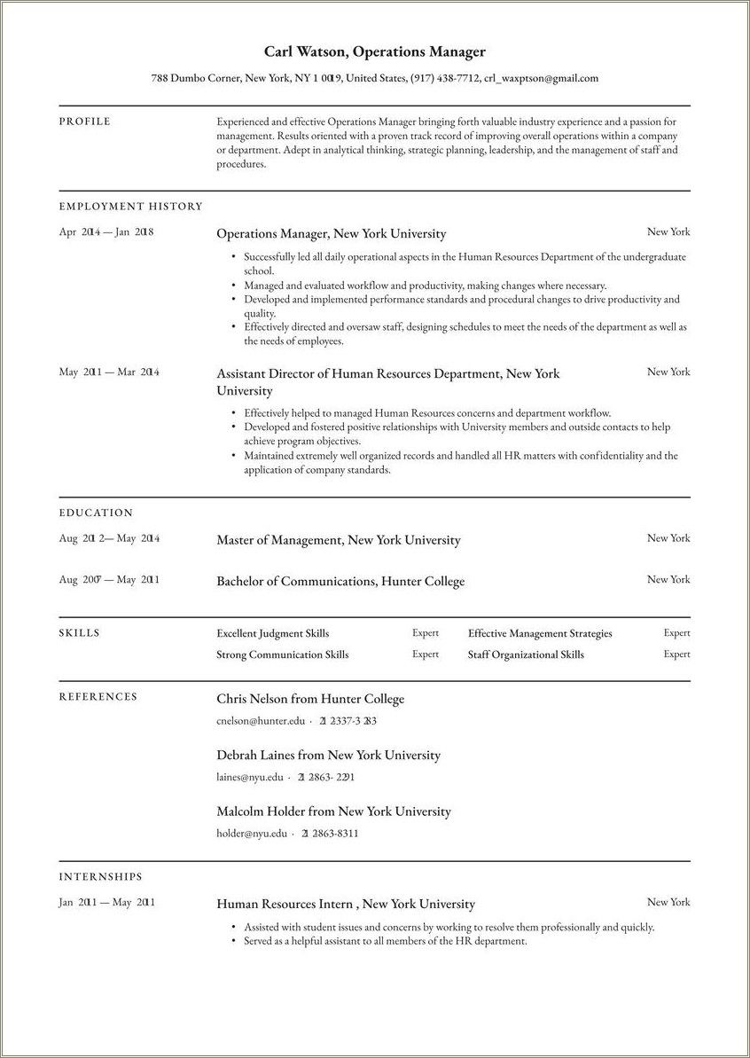 Sample Resume For Operations Director Retail
