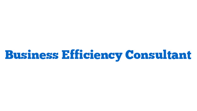 Business Efficiency Consultant