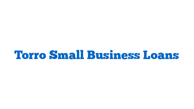 Torro Small Business Loans
